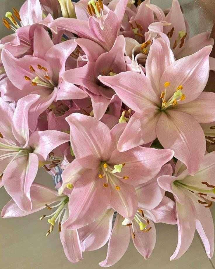 Mystic Aurora Floral Symphony