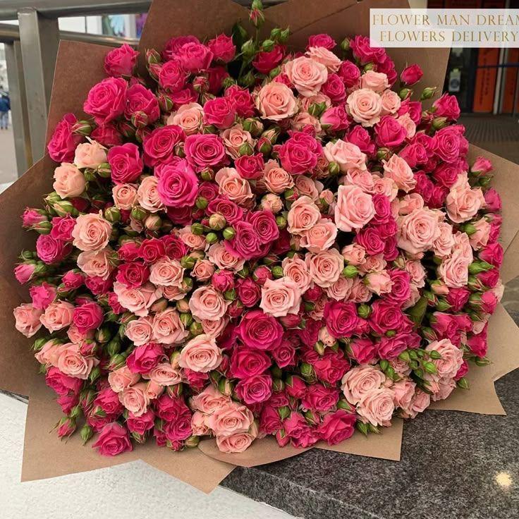 Sunset Serenity Rose Cascade
